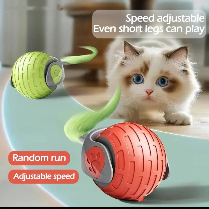 Smart auto rolling pet ball
